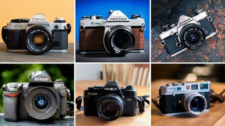 Best Film Cameras — Canon, Pentax, Olympus - StudioBinder